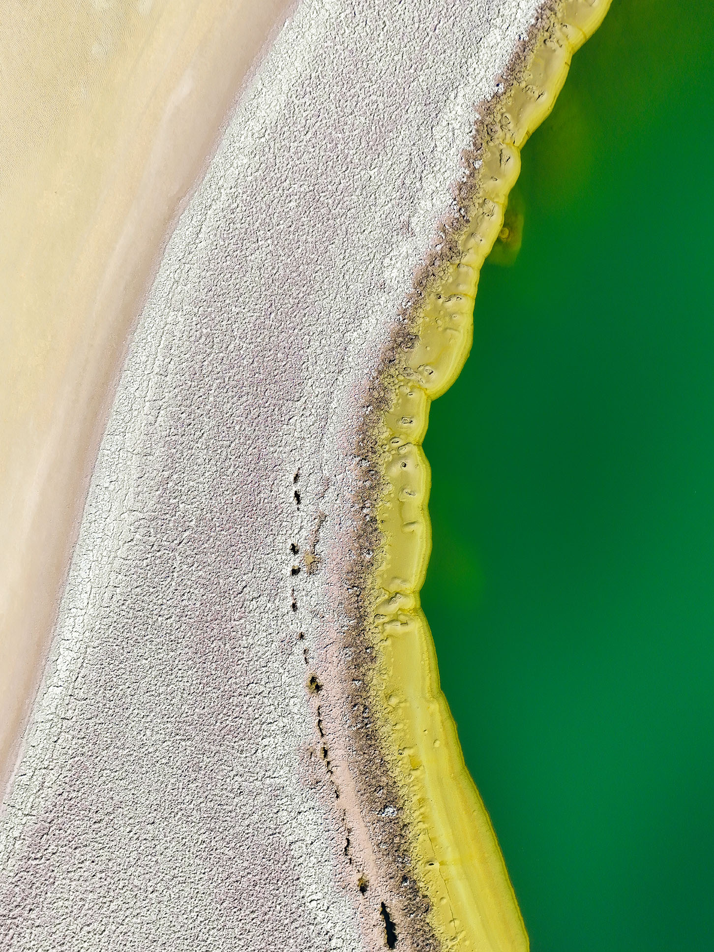 Laguna Cejar